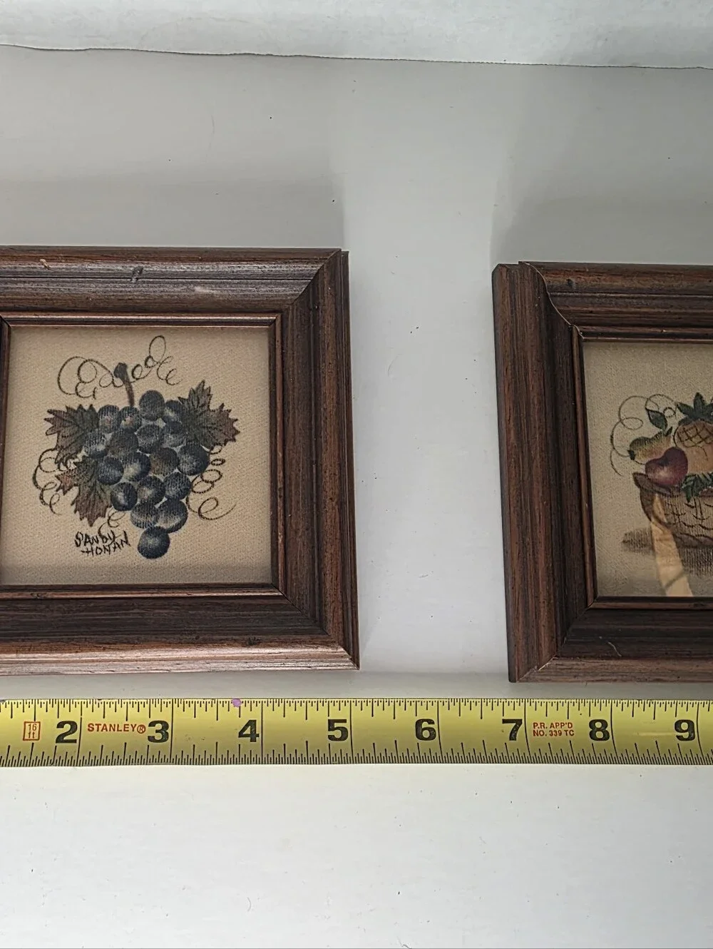 Theorem Painting by Sandy Honan Framed and Matted Prints Grapes & Fruit Set of 2